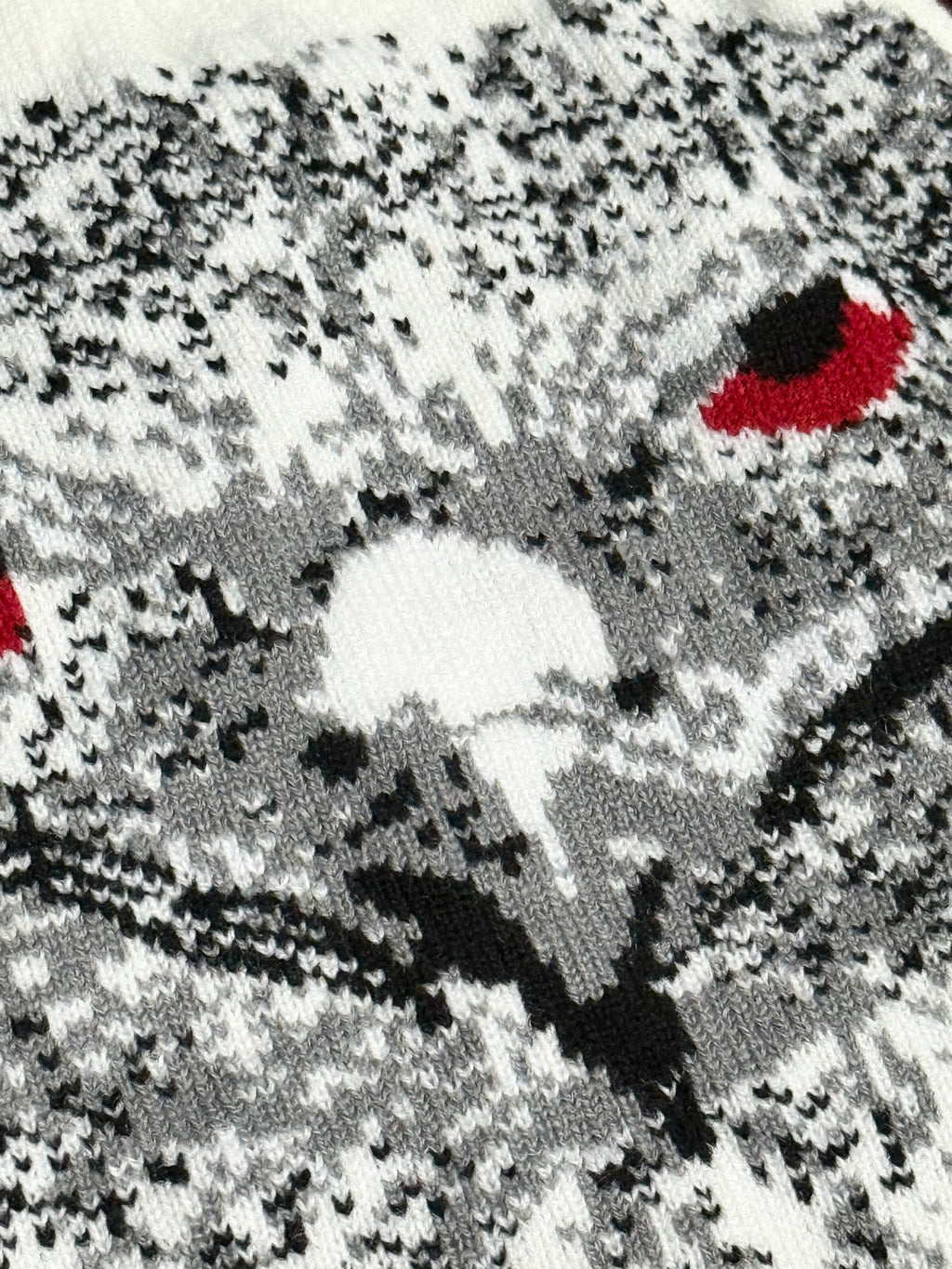 RED EAGLE Beanie