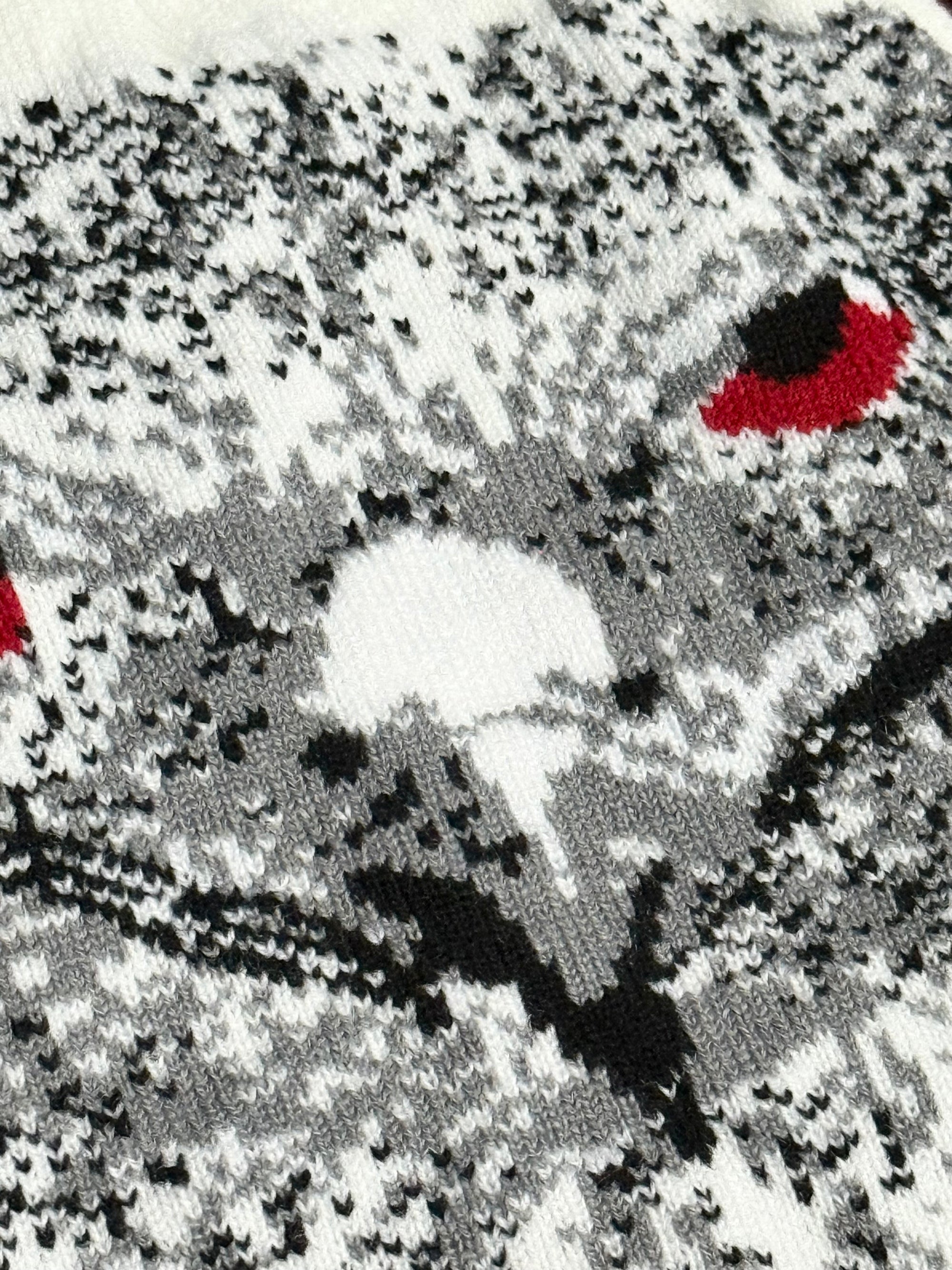 RED EAGLE Beanie